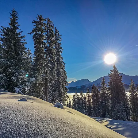 Leiter * Bramberg am Wildkogel