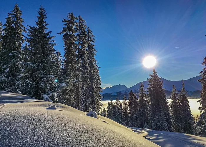 Leiter * Bramberg am Wildkogel